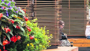 <p class="contextmenu internal_Caption">The controversial ‘robot trees’ are now gone from Patrick Street</p>