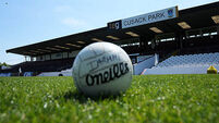 General view of TEG Cusack Park 11/5/2025