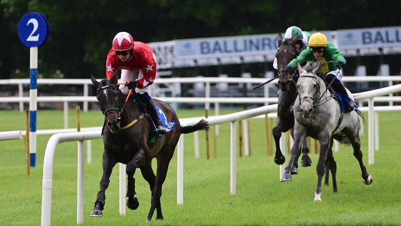 Jesse Evans delivers for Cork owners Tomás and Jack Singleton
