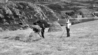 As the bells tolled for Durcan, I toiled with the hay, recalling his wonderful poem