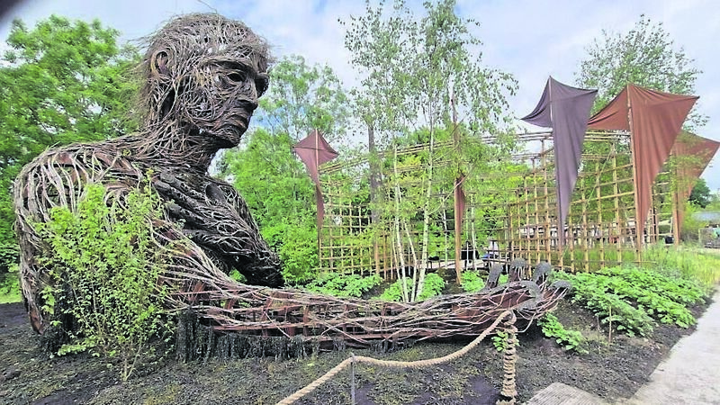 Conservation a key theme of Bloom 2025 show gardens