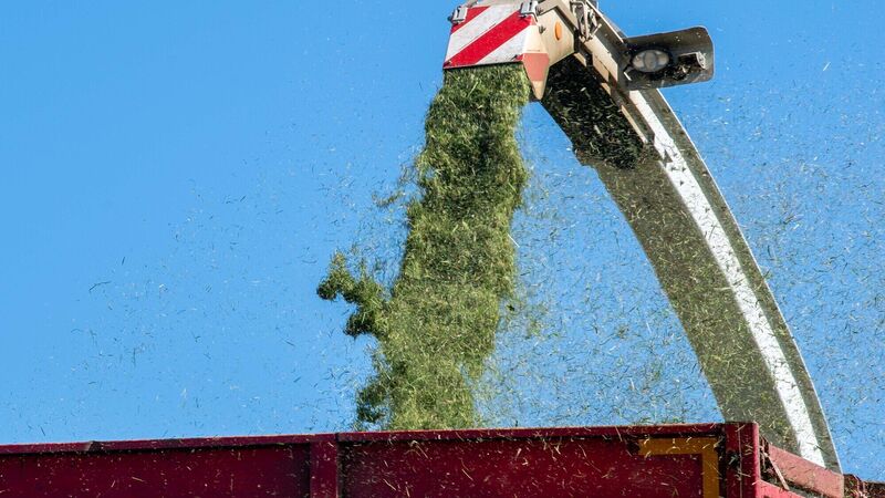 The sounds and smells of silage cutting and summer