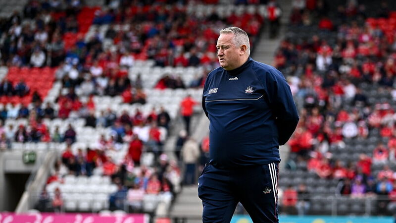 Pat Ryan: Limerick set the standard for all hurling counties with their attitude and effort