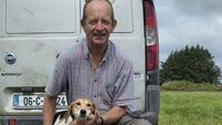 Mexican Jet wins the John Hennessy Memorial Puppy Draghunt at Coppeen