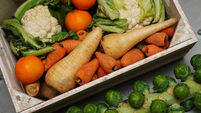 Fruit and Vegetables stock images