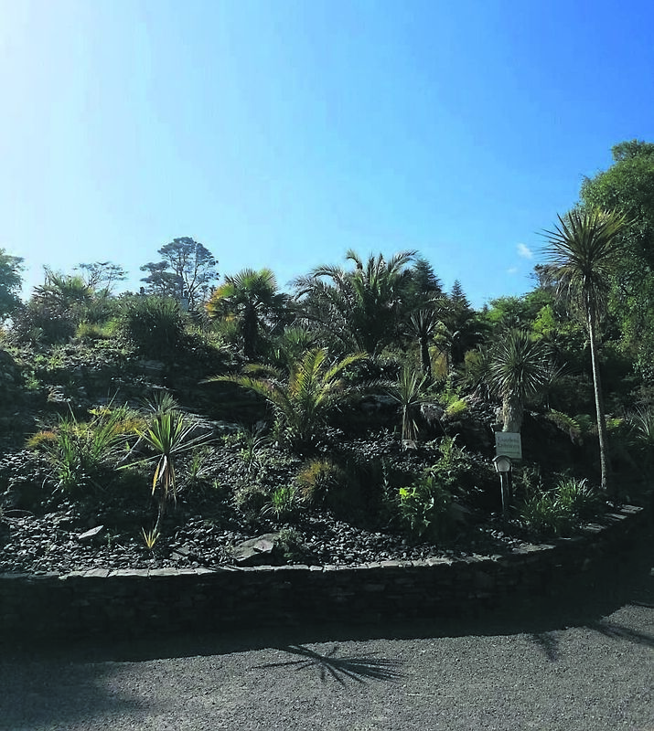 The rock garden at the entrance to Kells Bay in Co. Kerry in full sunshine