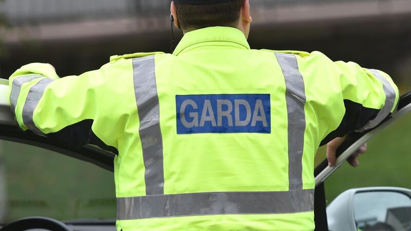 Driver locked himself in house when Cork garda requested oral sample