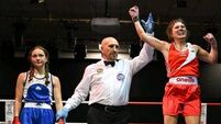 Cork boxers bring back more All-Ireland titles to the Rebel County