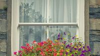 Window Box