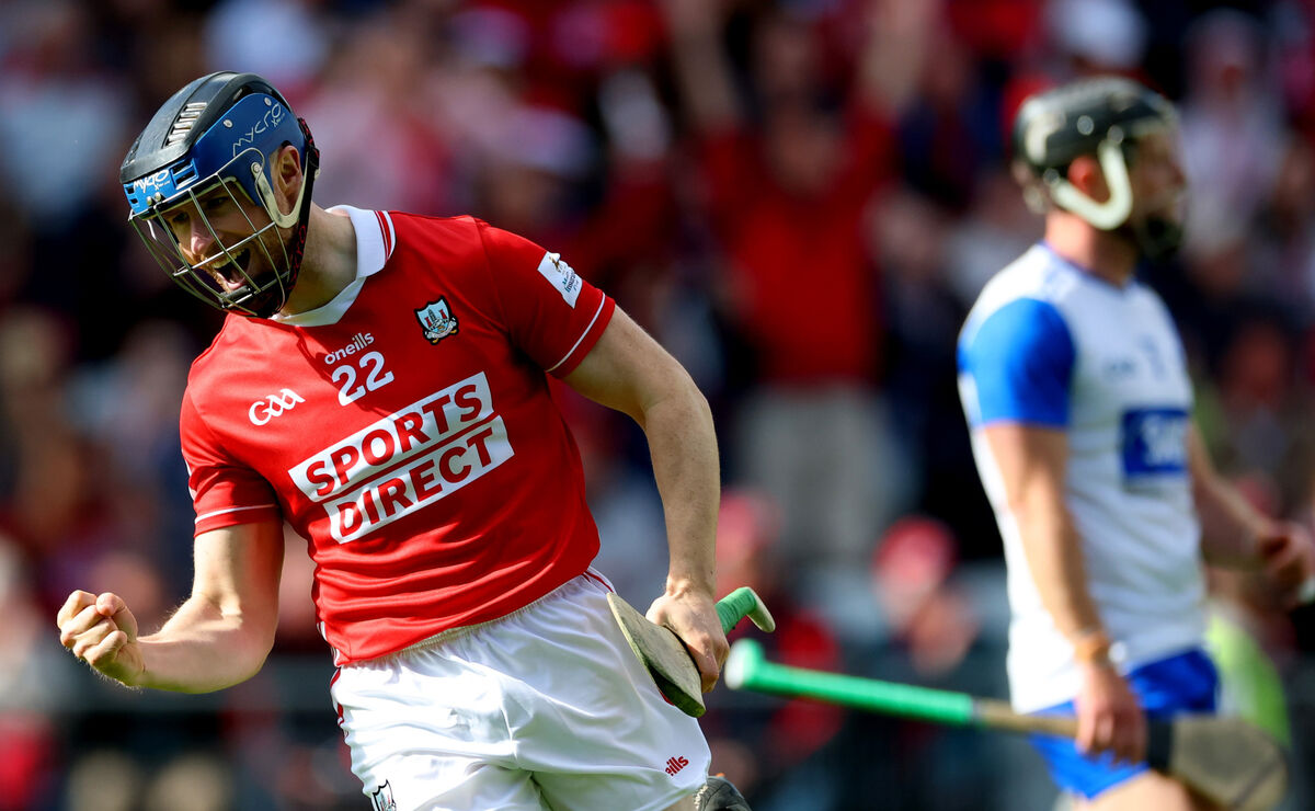 Conor Lehane celebrates scoring a point against Waterford. Picture: Inpho/James Crombie