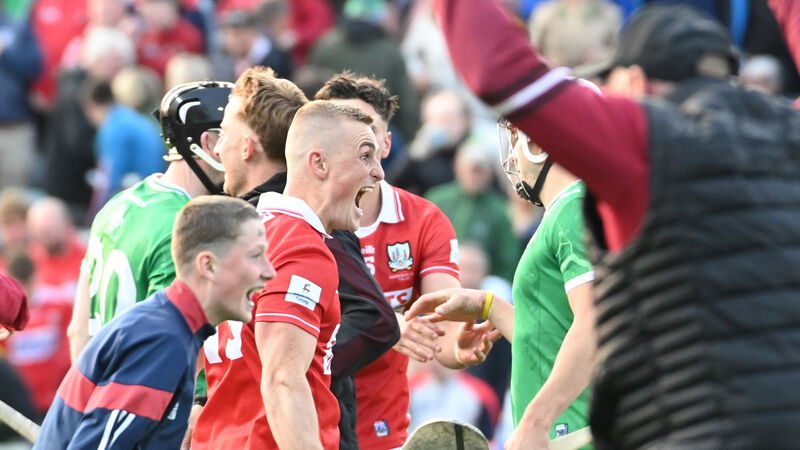 Bench was crucial for Cork hurlers in Limerick but green machine will be back with a vengeance