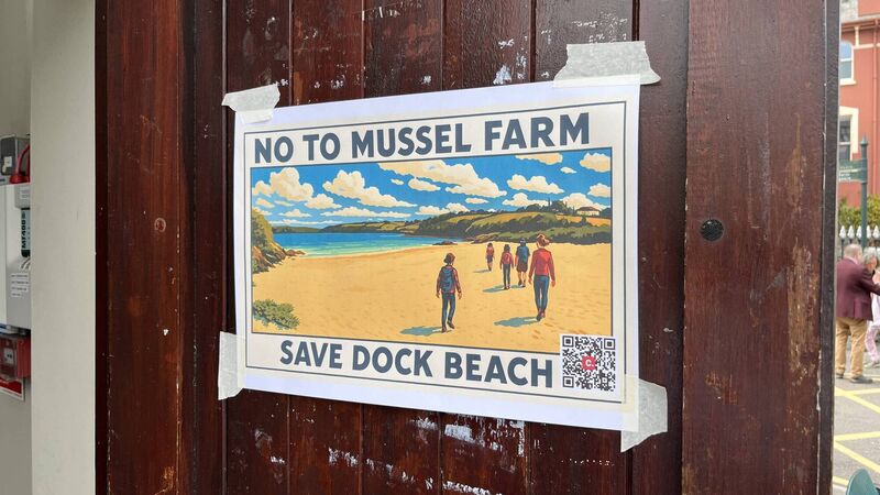 Hundreds gather in Kinsale to voice opposition to mussel farm Hundreds gather in Kinsale to voice opposition to mussel farm