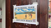 Hundreds gather in Kinsale to voice opposition to mussel farm