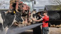 Excitement building with preparations for Cork Summer Show well underway