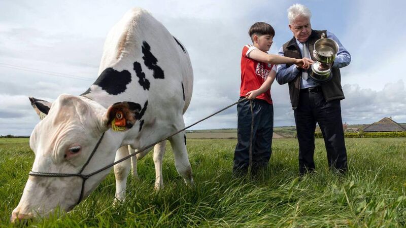 'Cork Summer Show is a chance to unite rural and urban'