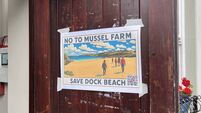 Taoiseach does not have 'executive authority' to interfere with Kinsale mussel farm plan