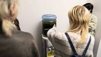 Blue-green algae from Lough Neagh displayed during Belfast Photo Festival