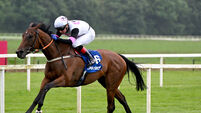 Magical Hope delivers big win for Cork trainer Paddy Twomey in Mallow