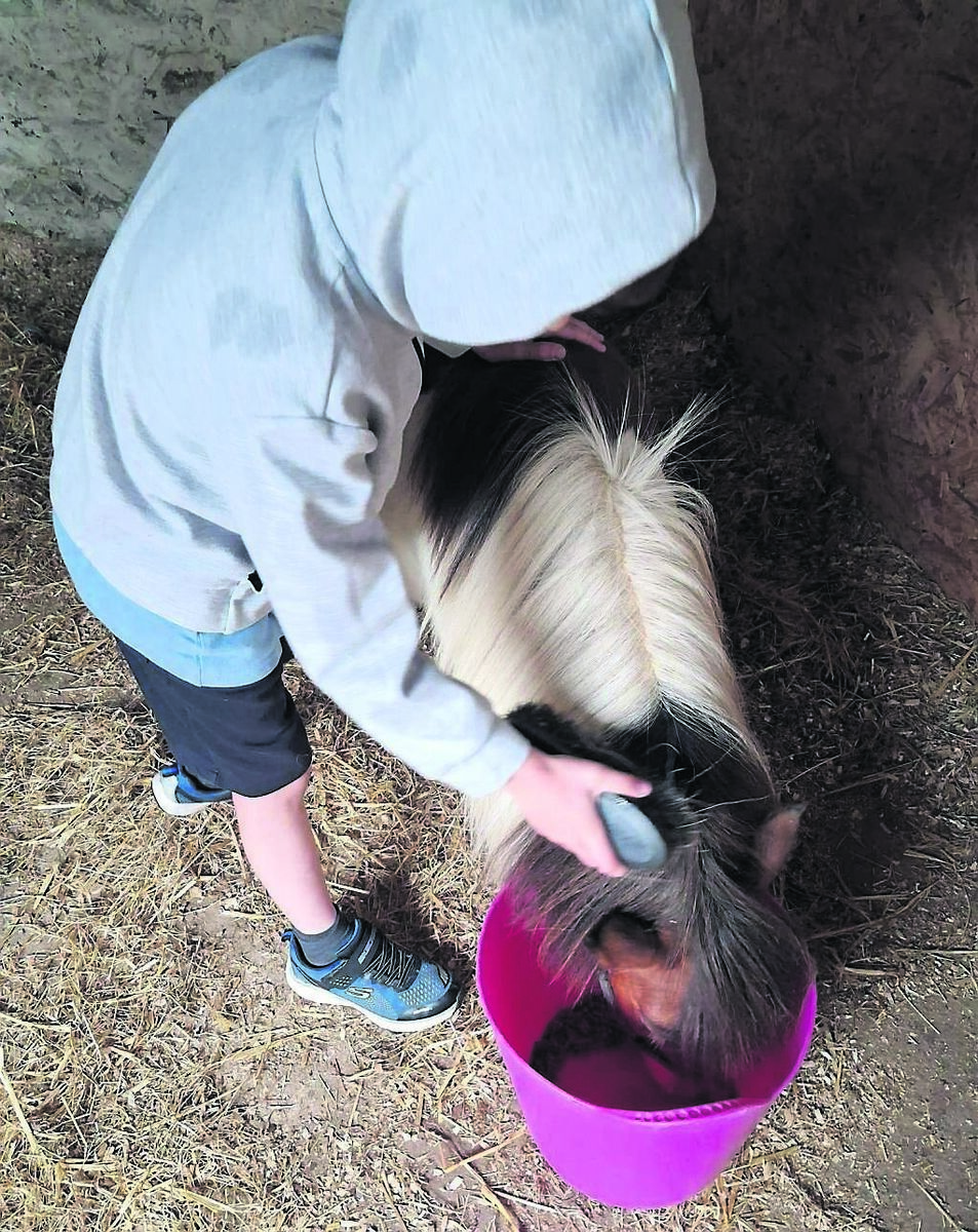 'Children are learning while they play,' says Tracy. 'Children are learning while they play,' says Tracy.