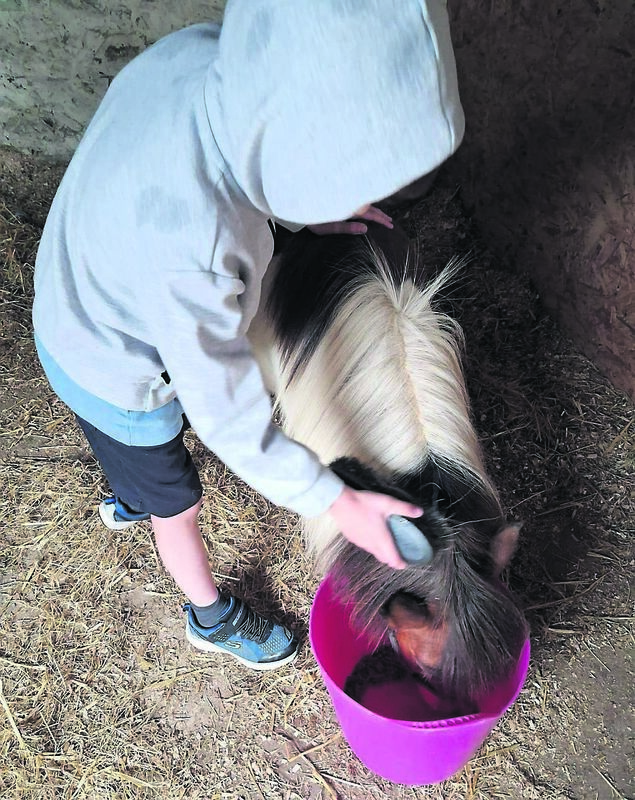 'Children are learning while they play,' says Tracy. 'Children are learning while they play,' says Tracy.