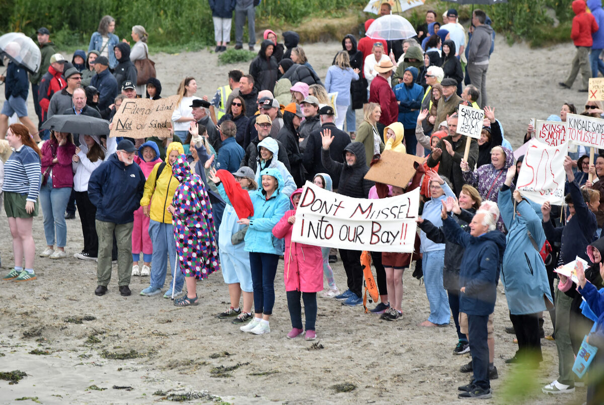 The large turnout on Dock beach showed the strength of feelings against the proposed development. The large turnout on Dock beach showed the strength of feelings against the proposed development.