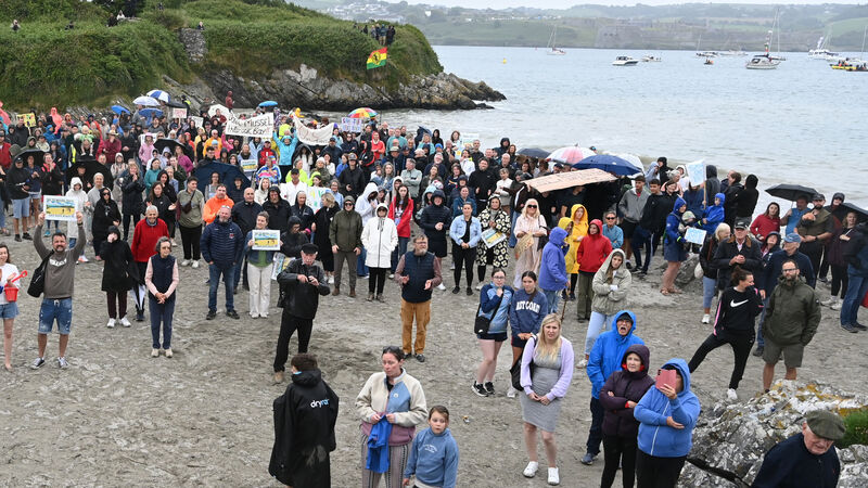 Councillor wants executive to object to Kinsale mussel farm plan Councillor wants executive to object to Kinsale mussel farm plan