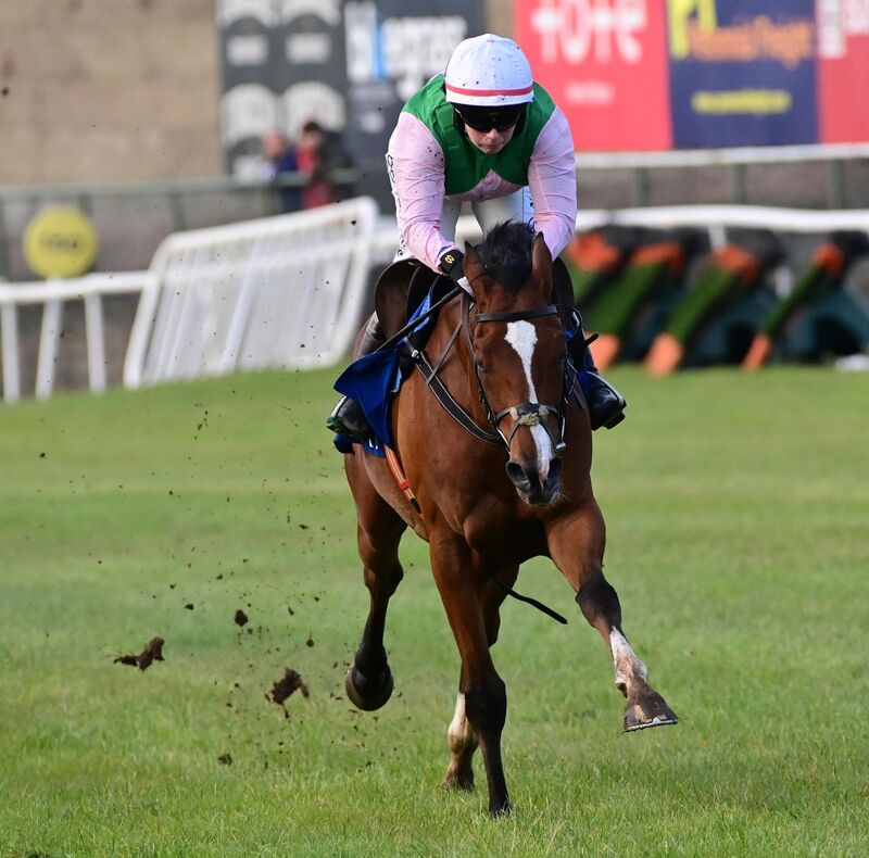 Love Me Tender and Jody Townend win the Quinnbet Flat Race. Picture: Healy Racinl Love Me Tender and Jody Townend win the Quinnbet Flat Race. Picture: Healy Racinl