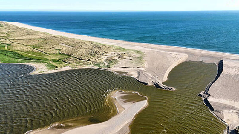 Taoiseach agrees on need to prevent ‘toxic goo lagoon’ in Wexford Taoiseach agrees on need to prevent ‘toxic goo lagoon’ in Wexford