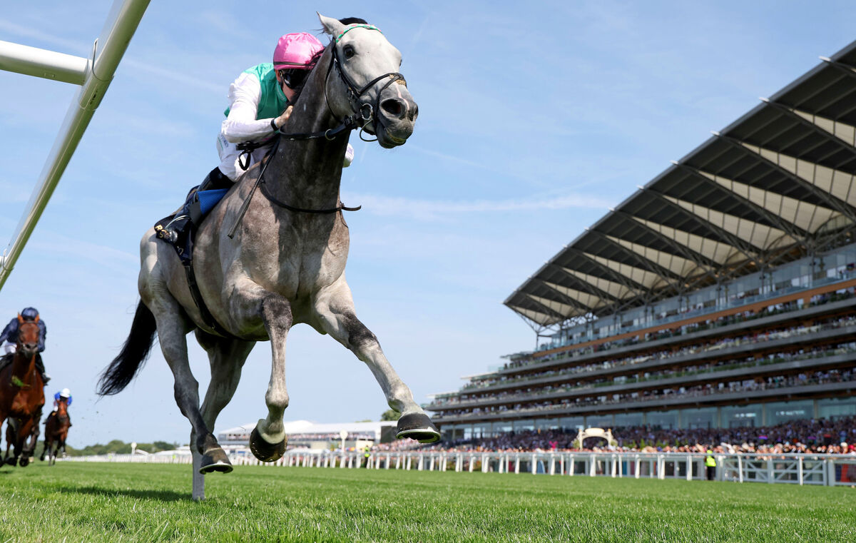 Field Of Gold and Colin Keane win the St James's Palace Stakes. Picture: Healy Racing