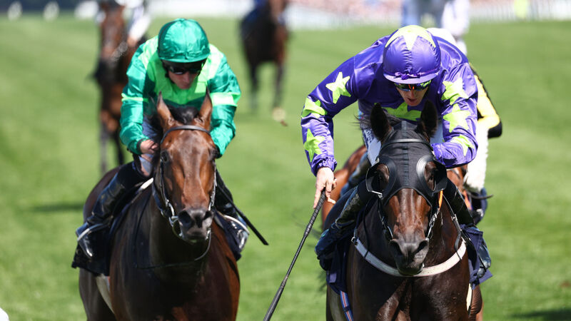Innishannon trainer Paddy Twomey lands another major victory with Carmers