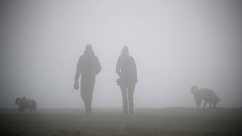 Status yellow fog warning in place for most counties Status yellow fog warning in place for most counties