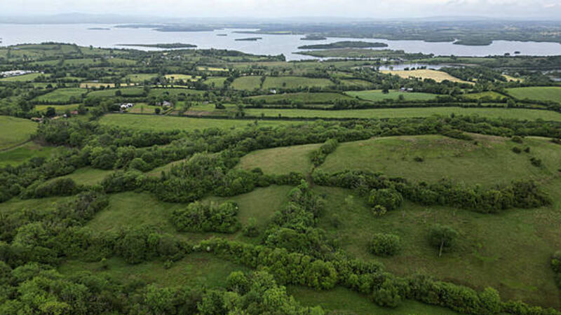 Living example of traditional farmland safeguarded for nature Living example of traditional farmland safeguarded for nature