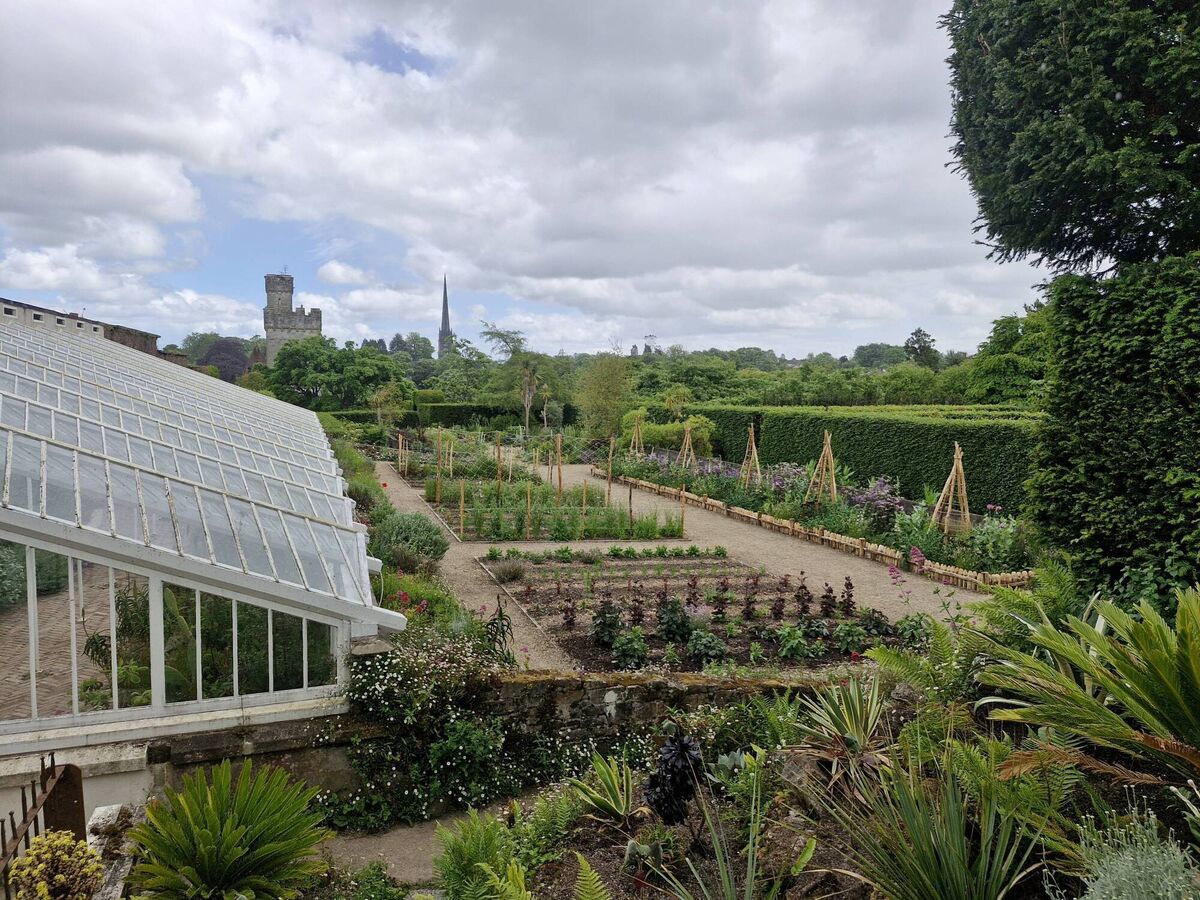 Cut flower planting inspiration near the restored Paxton glasshouse at Lismore Gardens recently. Cut flower planting inspiration near the restored Paxton glasshouse at Lismore Gardens recently.