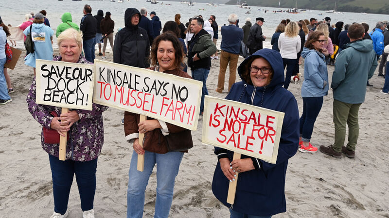 Mussel farm in Cork harbour will ‘completely destroy' habitat, says ecologist