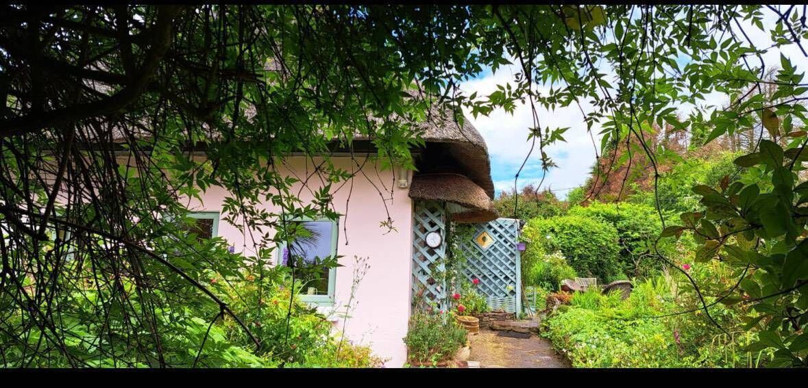 Margaret Adams' beautiful thatched home in Killeagh before the fire. Margaret Adams' beautiful thatched home in Killeagh before the fire.