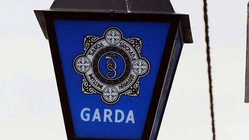 €2m of cannabis seized from business in Dublin €2m of cannabis seized from business in Dublin