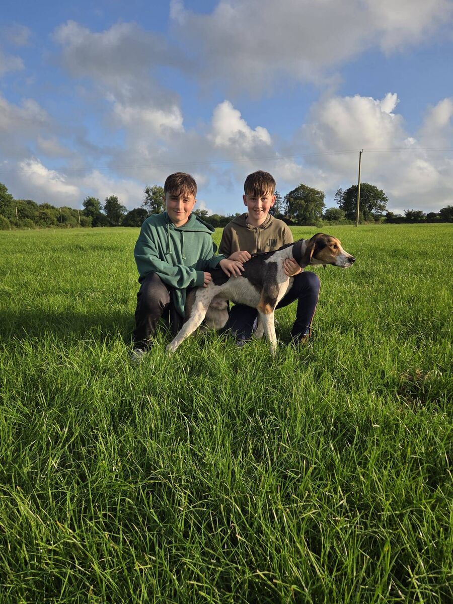 Cork Draghunting: Noah McCarthy and Diarmuid O'Sullivan with Knock's Boy of Griffin United winner of the Sean and Monica Walsh Memorial Puppy draghunt at the Fornaught. 