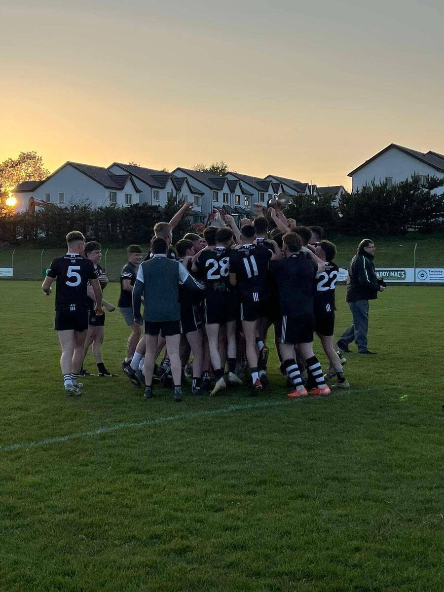 Donoughmore players jump for joy after claiming silverware.