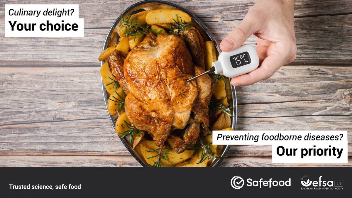 Take a quick read through the Safe2Eat advice, a major EU-wide campaign empowering consumers with science-backed food safety information to make smarter, safer food choices. Take a quick read through the Safe2Eat advice, a major EU-wide campaign empowering consumers with science-backed food safety information to make smarter, safer food choices.
