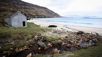 IRELAND-US-TOURISM-CULTURE-THE BANSHEES OF INISHERIN-FILM