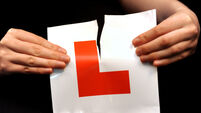 Learner Drivers