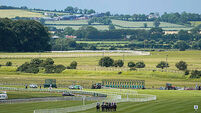 Curragh Races