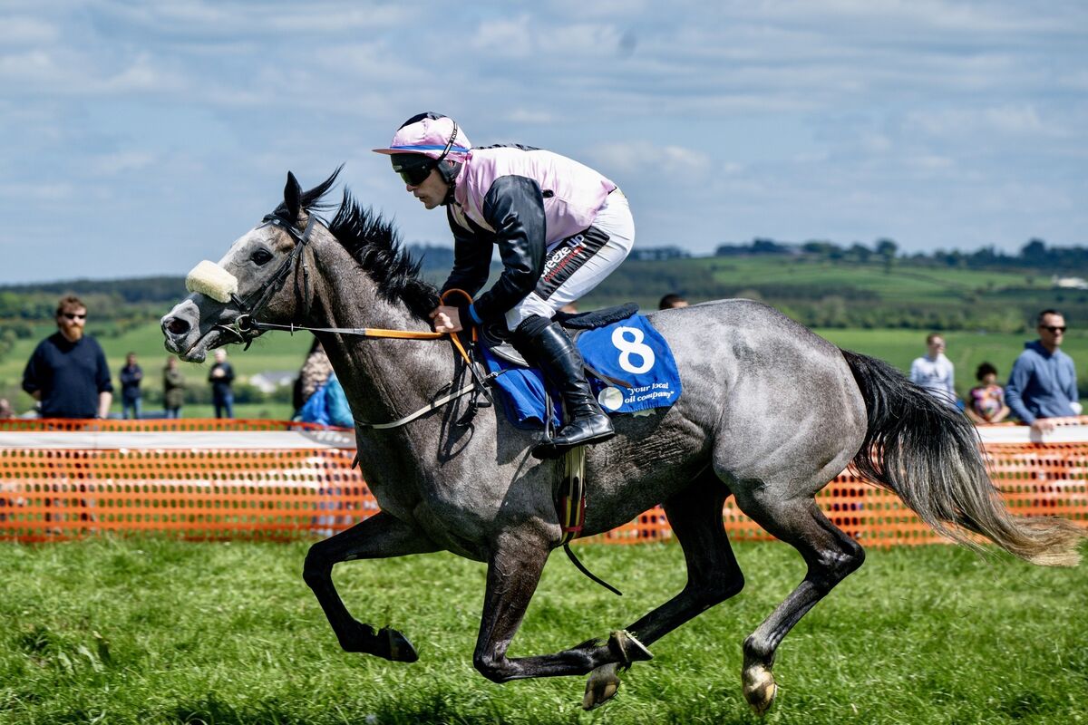 Fortuenville, ridden by R. James, trained by Anne Marie Ryan, owned by the Monbeg Partnership, wins the third race at the Muskerry Point to Point in Dawstown at odds of 12/1. Fortuenville, ridden by R. James, trained by Anne Marie Ryan, owned by the Monbeg Partnership, wins the third race at the Muskerry Point to Point in Dawstown at odds of 12/1.
