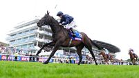 The Betfred Derby Festival - Derby Day - Epsom Downs Racecourse
