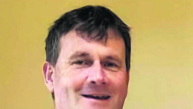 Cork man died after receiving five or six wasp stings in garden, inquest hears Cork man died after receiving five or six wasp stings in garden, inquest hears