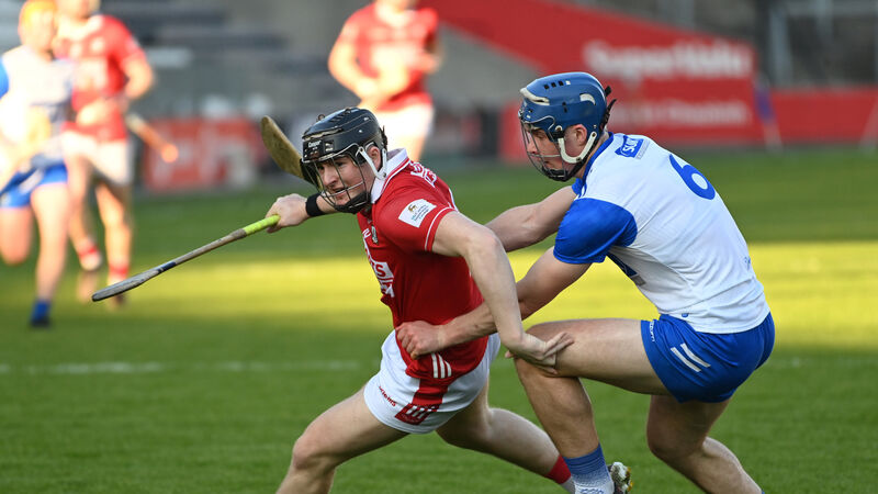 Cork hurling: Finn O'Brien and Barry Walsh shine brightest among championship newcomers Cork hurling: Finn O'Brien and Barry Walsh shine brightest among championship newcomers