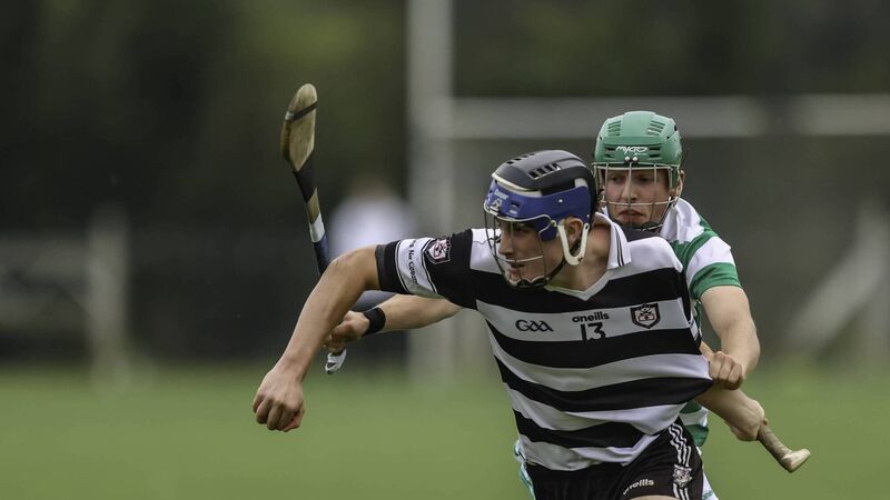 Division 2 HL: Top scorers and rising stars in the top four teams