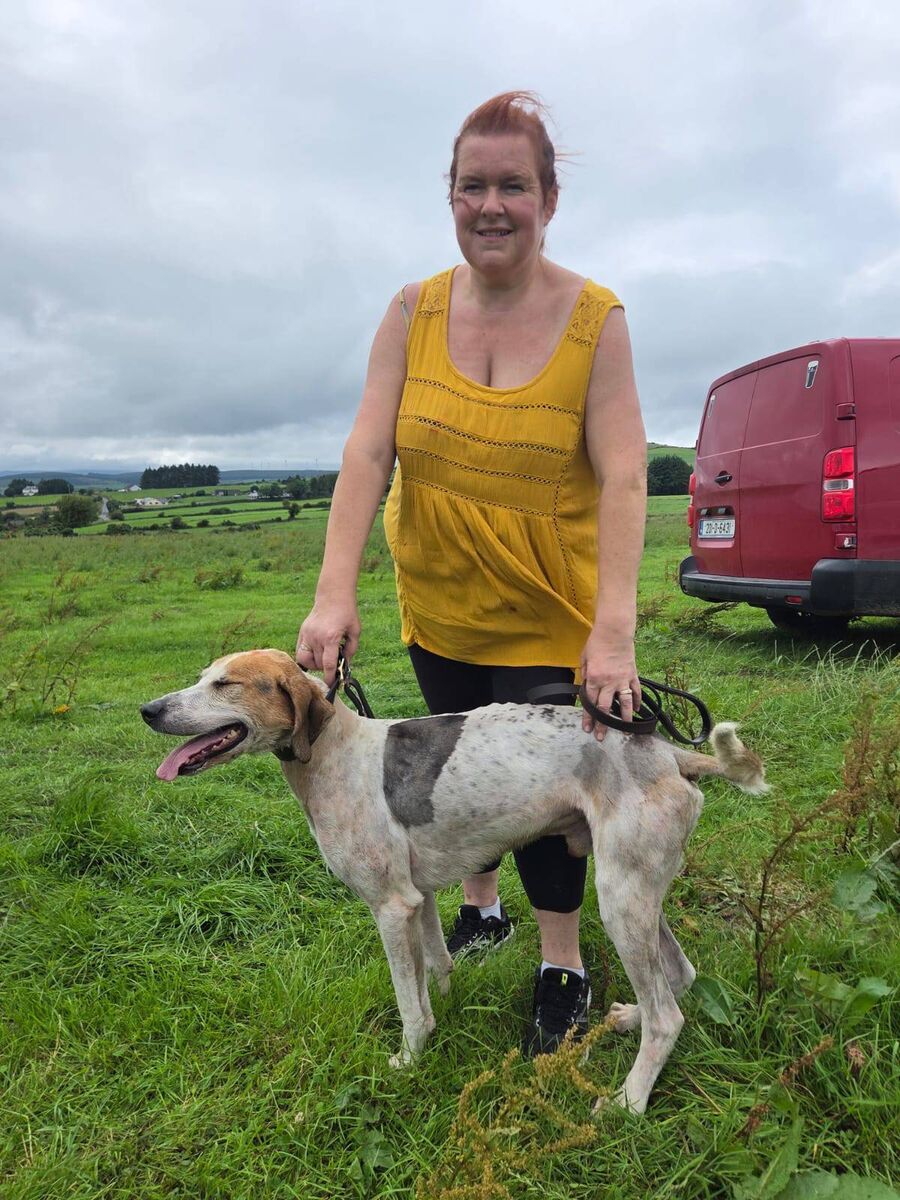 Trina Long with Blue Lad of Southern/Carrigaline harriers  winner of the Senior maiden draghunt at Stuake.
