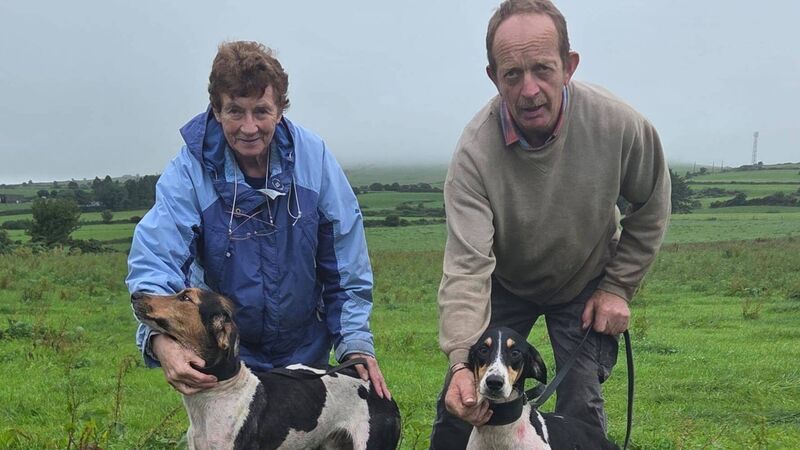 Sean T wins the Clogheen Senior draghunt