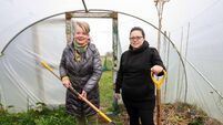 A radical new approach to food needed, and Cork can lead way